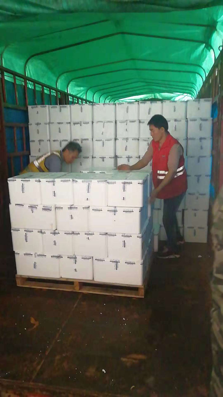 J9集团国际(中国)-官方网站