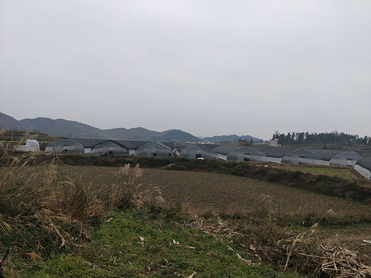 J9集团国际(中国)-官方网站