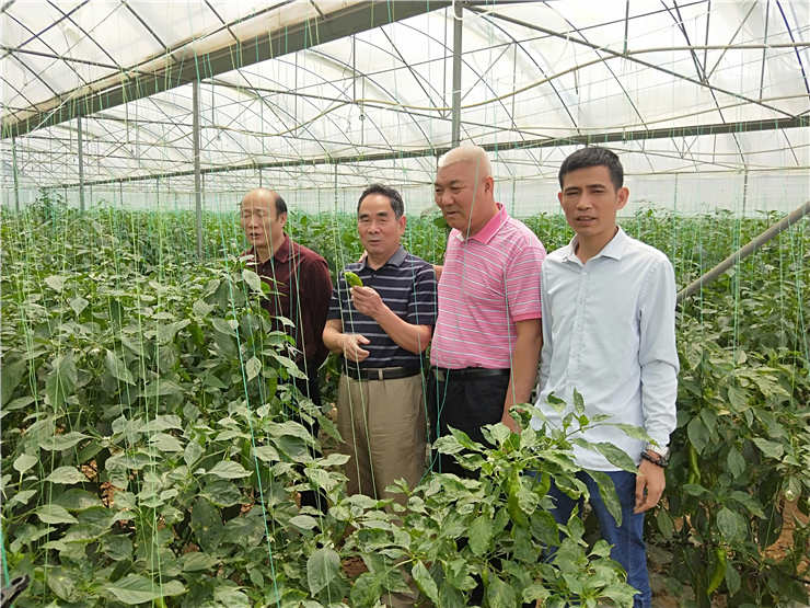 J9集团国际(中国)-官方网站