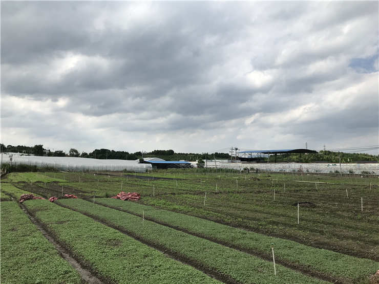 J9集团国际(中国)-官方网站