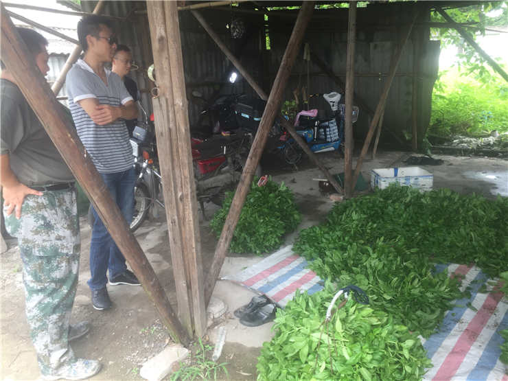 J9集团国际(中国)-官方网站