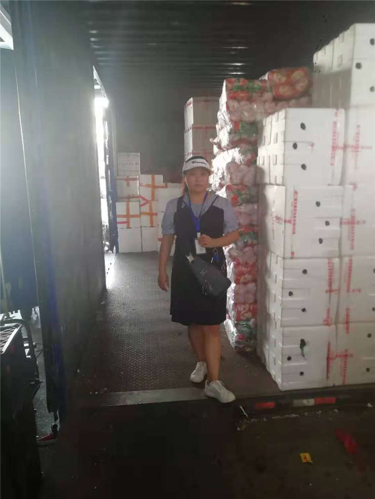 J9集团国际(中国)-官方网站