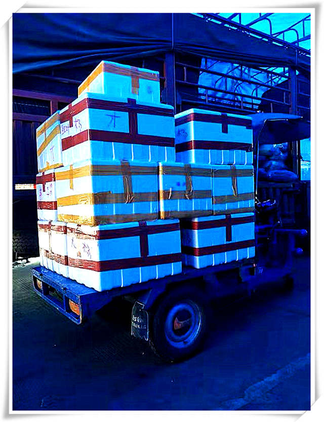 J9集团国际(中国)-官方网站