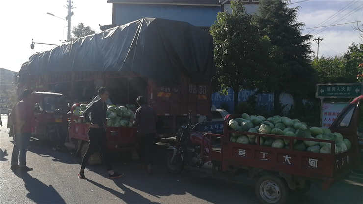 J9集团国际(中国)-官方网站