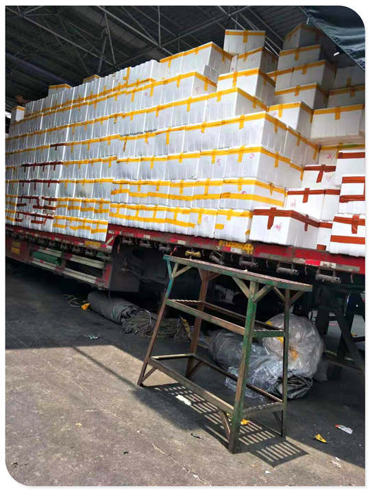 J9集团国际(中国)-官方网站