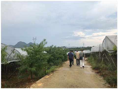 J9集团国际(中国)-官方网站