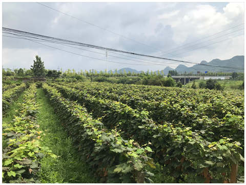 J9集团国际(中国)-官方网站