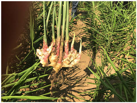 J9集团国际(中国)-官方网站