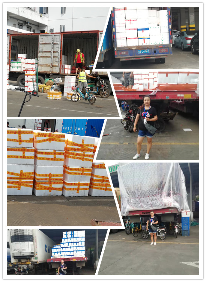 J9集团国际(中国)-官方网站