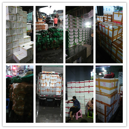 J9集团国际(中国)-官方网站