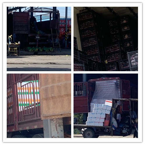 J9集团国际(中国)-官方网站