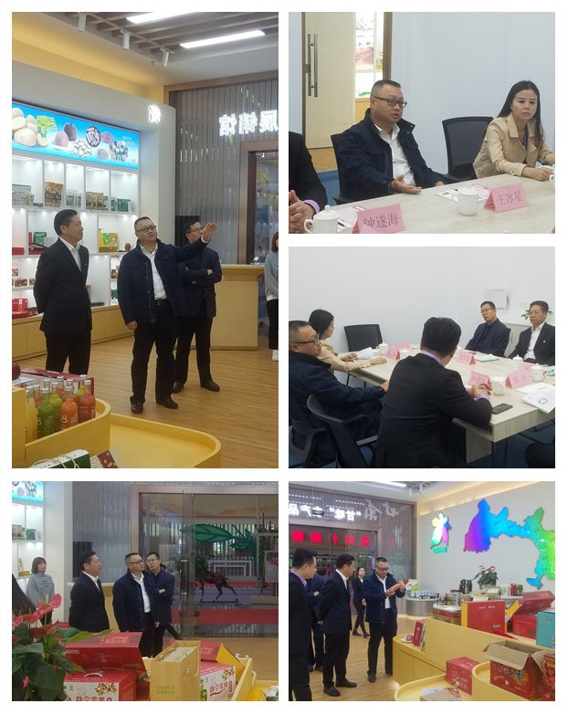 J9集团国际(中国)-官方网站