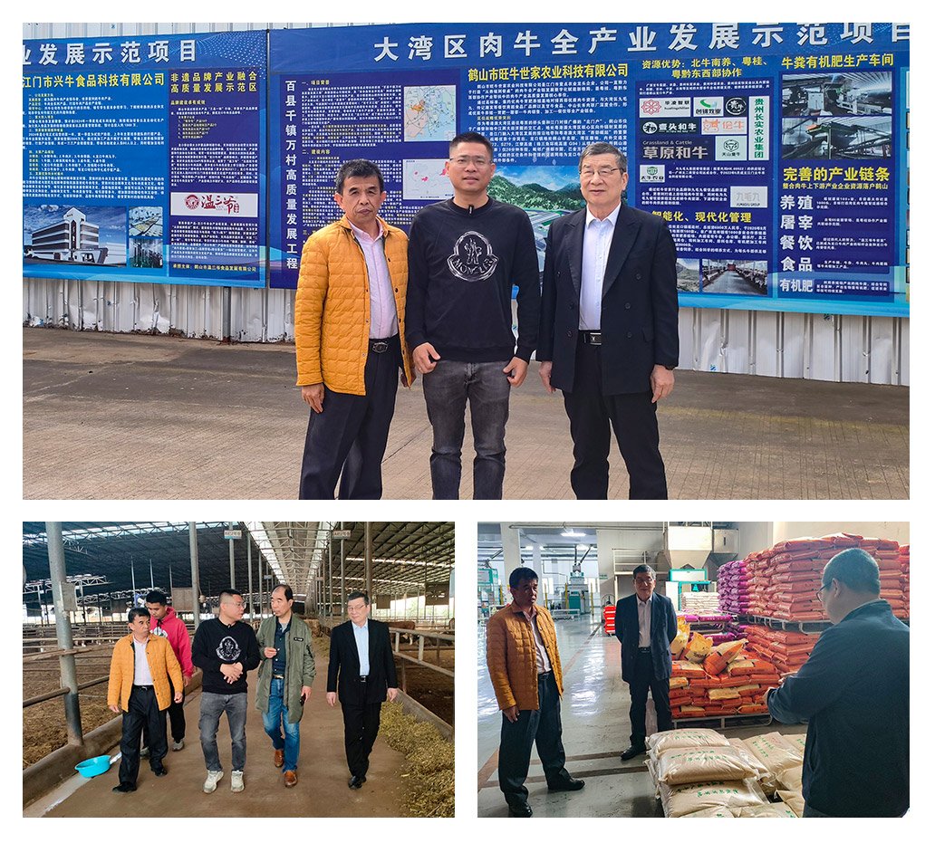 J9集团国际(中国)-官方网站