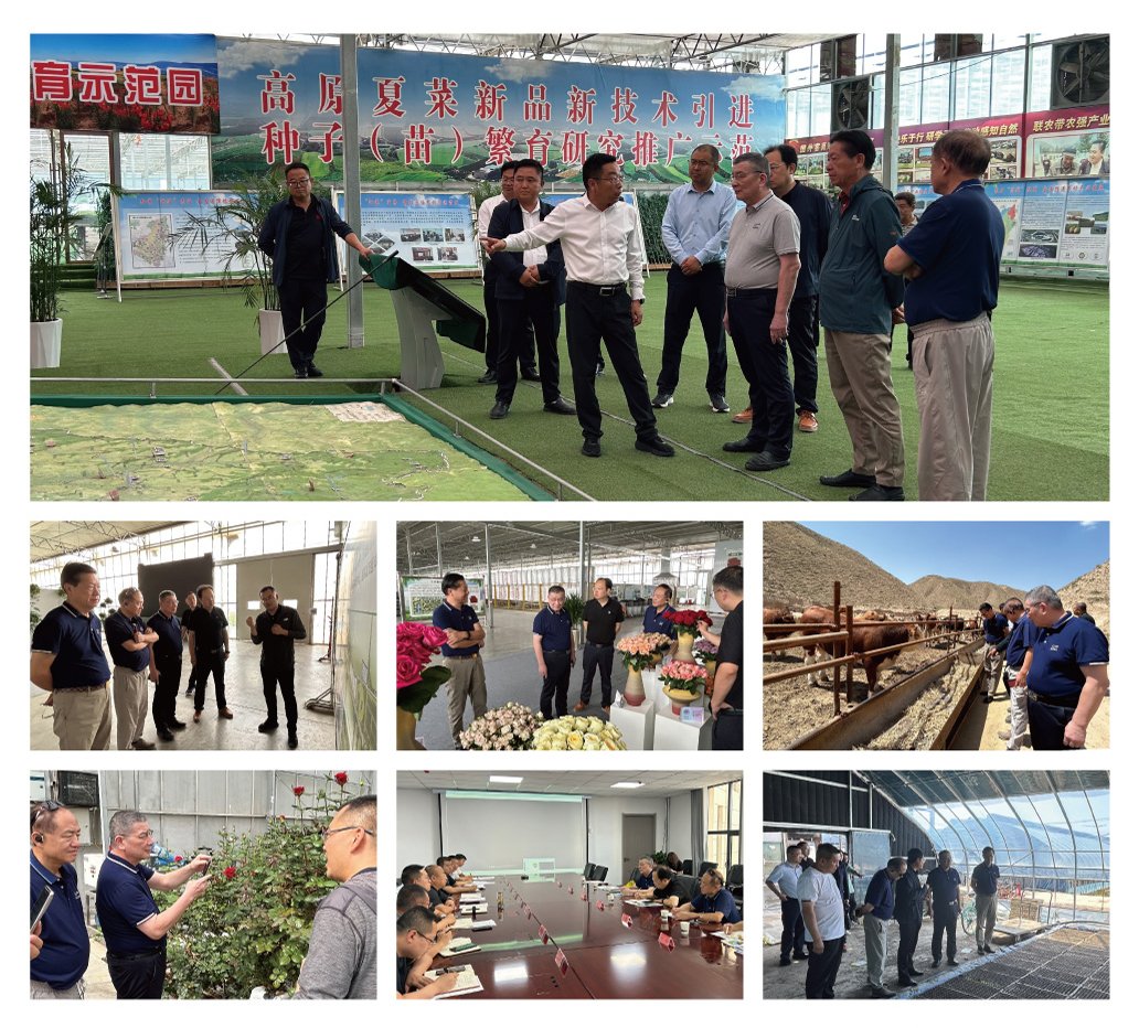 J9集团国际(中国)-官方网站